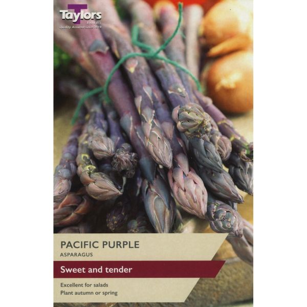 Asparagus Pacific Purple - Pack of 2